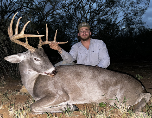 Whitetail Deer Gallery